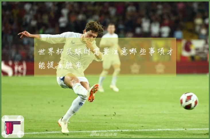 世界杯买球时需要注意哪些事项才能提高胜率
