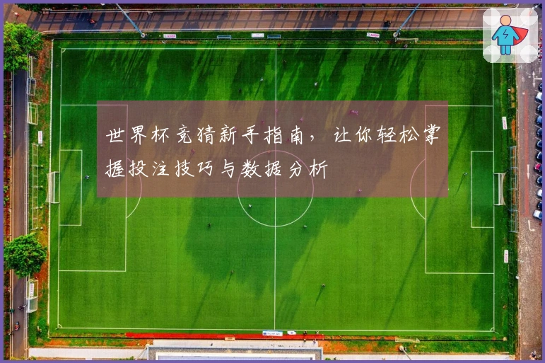 世界杯竞猜新手指南，让你轻松掌握投注技巧与数据分析