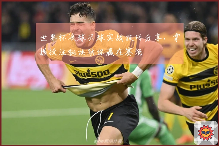 世界杯滚球买球实战技巧分享，掌握投注秘诀助你赢在赛场