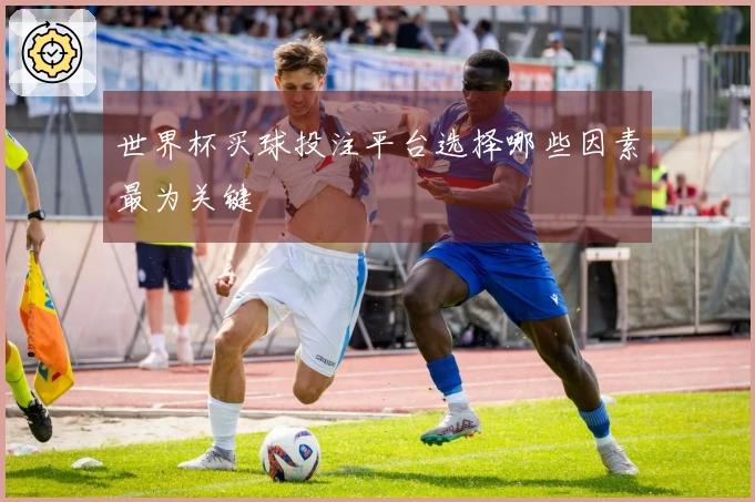 世界杯买球投注平台选择哪些因素最为关键