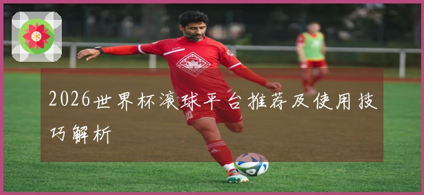 2026世界杯滚球平台推荐及使用技巧解析