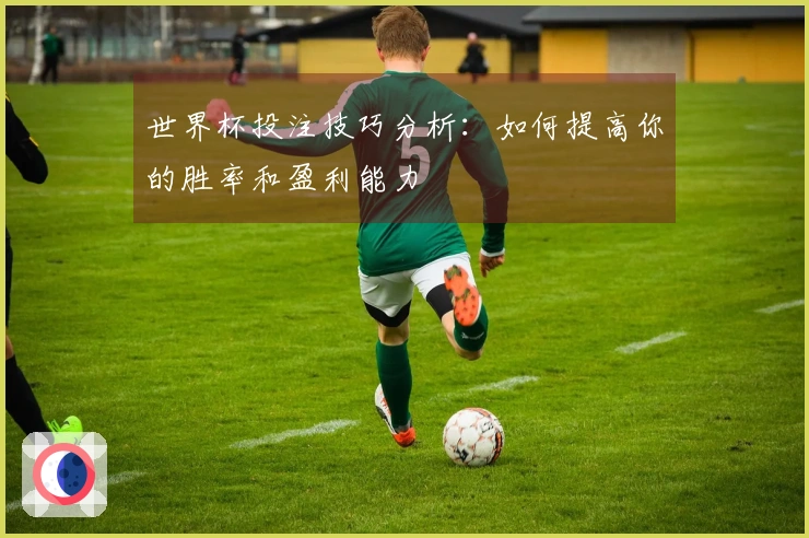 世界杯投注技巧分析：如何提高你的胜率和盈利能力
