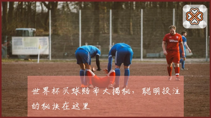 世界杯买球赔率大揭秘，聪明投注的秘诀在这里