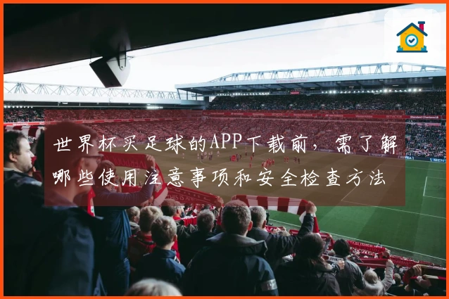 世界杯买足球的APP下载前，需了解哪些使用注意事项和安全检查方法