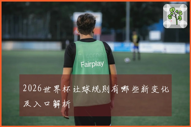 2026世界杯让球规则有哪些新变化及入口解析