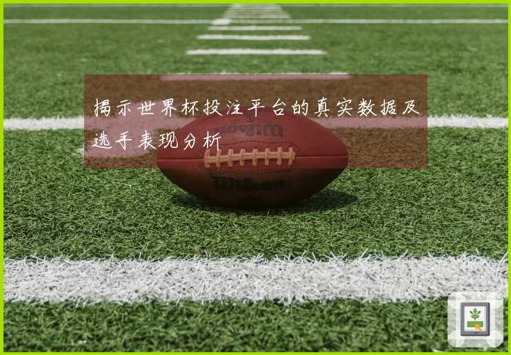 揭示世界杯投注平台的真实数据及选手表现分析
