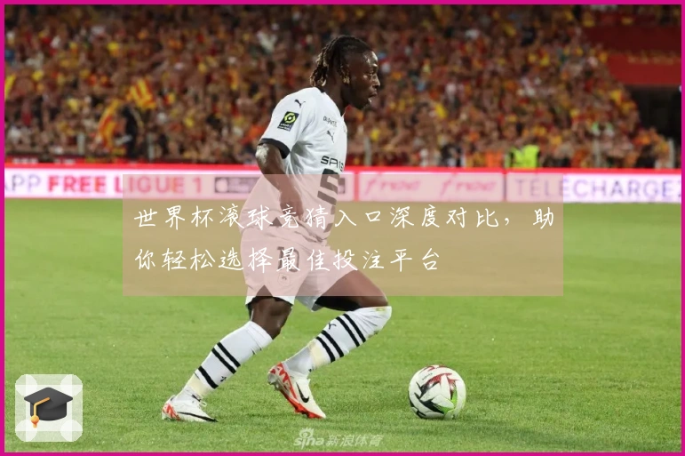 世界杯滚球竞猜入口深度对比，助你轻松选择最佳投注平台