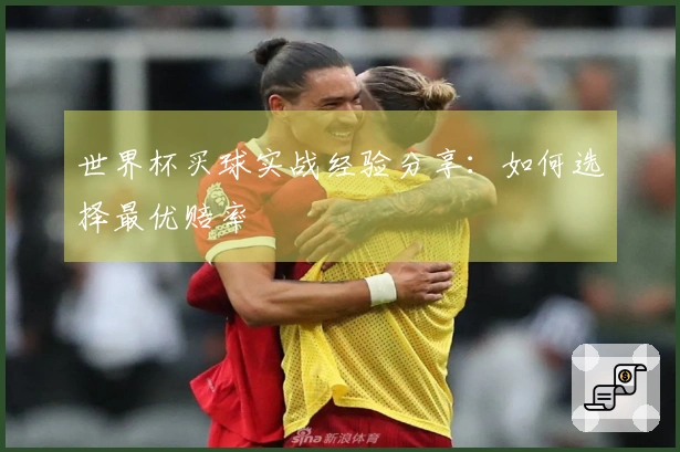 世界杯买球实战经验分享：如何选择最优赔率