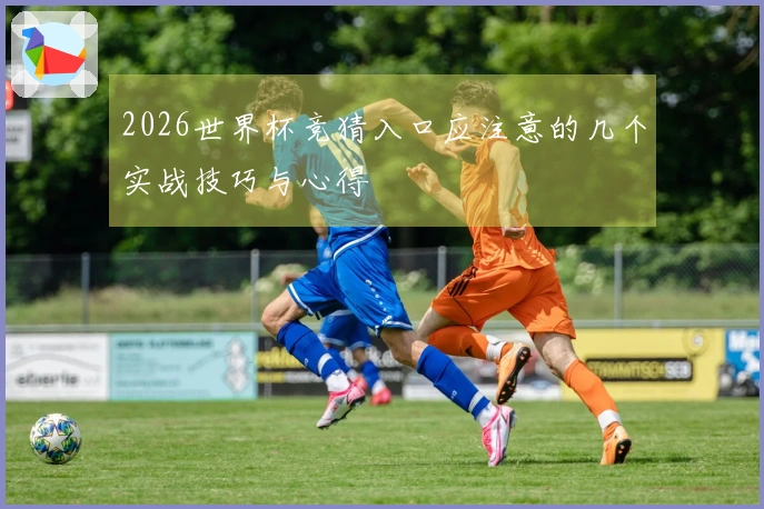 2026世界杯竞猜入口应注意的几个实战技巧与心得