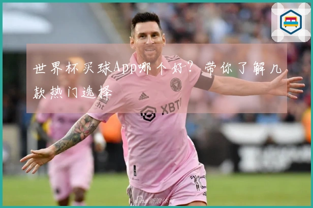 世界杯买球App哪个好？带你了解几款热门选择