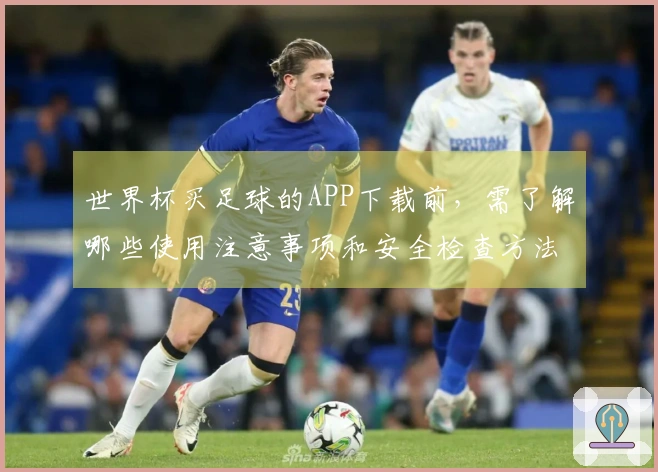 世界杯买足球的APP下载前，需了解哪些使用注意事项和安全检查方法