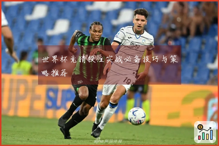 世界杯竞猜投注实战必备技巧与策略推荐