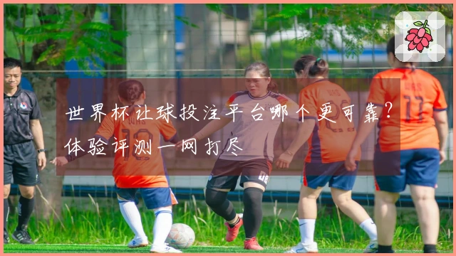 世界杯让球投注平台哪个更可靠？体验评测一网打尽