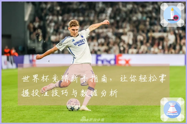 世界杯竞猜新手指南，让你轻松掌握投注技巧与数据分析