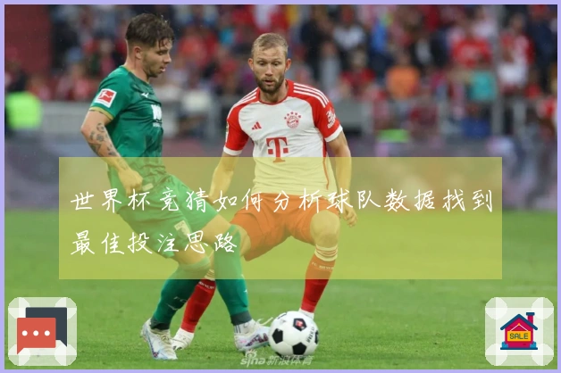 世界杯竞猜如何分析球队数据找到最佳投注思路