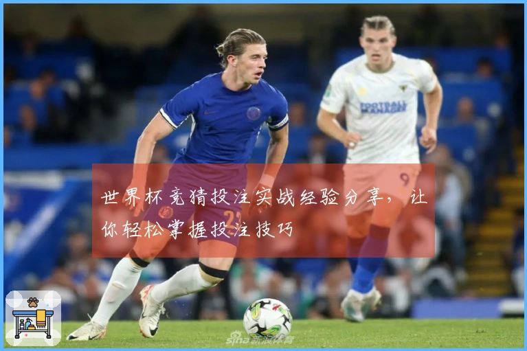 世界杯竞猜投注实战经验分享，让你轻松掌握投注技巧