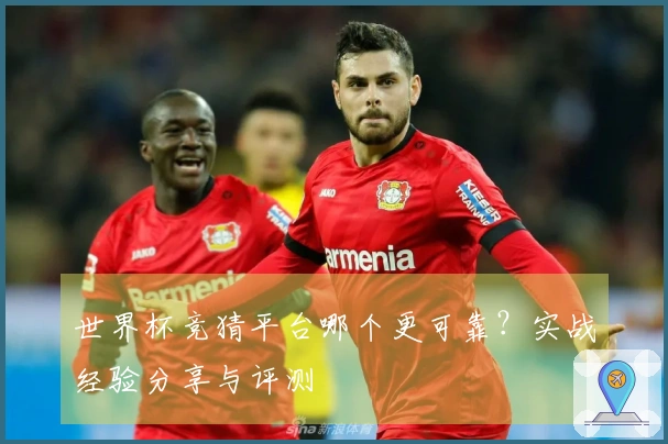 世界杯竞猜平台哪个更可靠？实战经验分享与评测