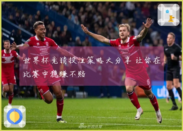 世界杯竞猜投注策略大分享 让你在比赛中稳赚不赔