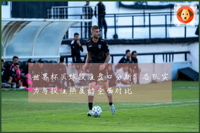 世界杯买球投注盘口分析:各队实力与投注热度的全面对比