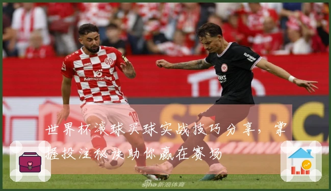 世界杯滚球买球实战技巧分享，掌握投注秘诀助你赢在赛场