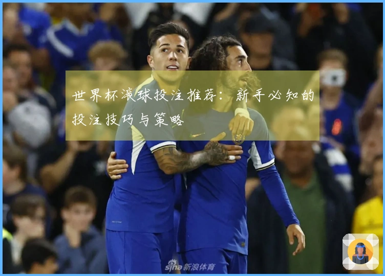 世界杯滚球投注推荐：新手必知的投注技巧与策略