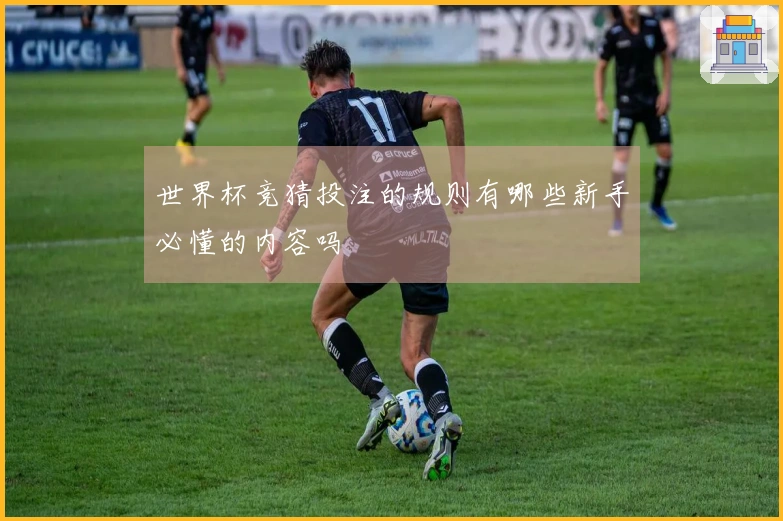 世界杯竞猜投注的规则有哪些新手必懂的内容吗